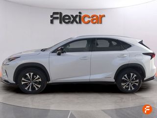 Lexus NX 2.5 300h Business 2WD
