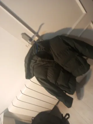 Chaqueta Zara niño 11-12 años capucha