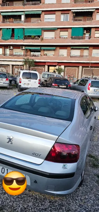 Peugeot 407 2004