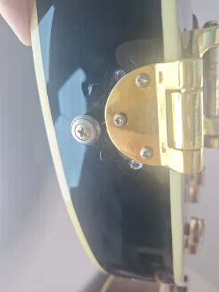 Chitarra Semiacustica De Salvo 400 S20