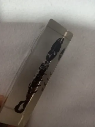 Colección 3 escorpiones en resina vintage