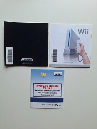 English Training Nintendo DS