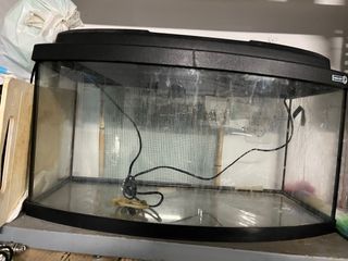 Pecera curva con tapa negra