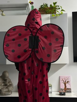 Disfraz Mariquita Mujer y Hombre