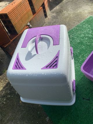 Casa de Gato WC em bom estado