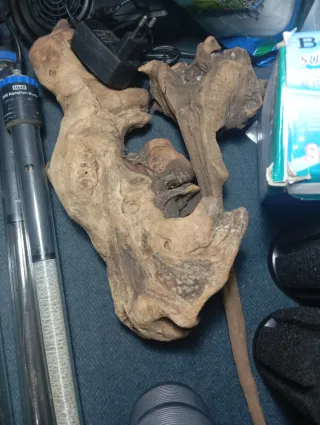 Accessori per acquari Eheim: riscaldatori e altro