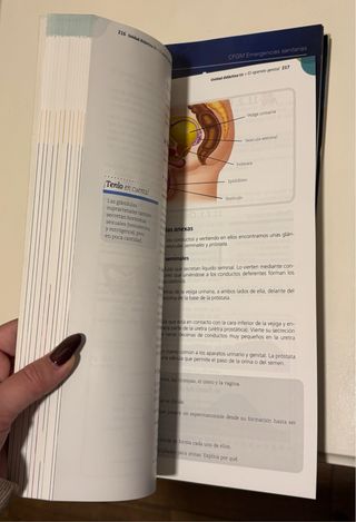 Anatomofisiología y patología básicas