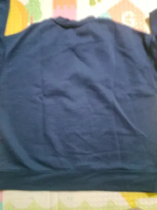 Sudadera Disney Donald New York USA