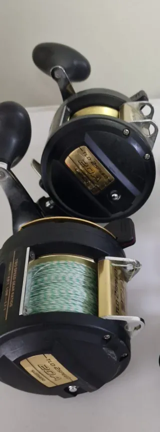 Mulinello Shimano TLD 20 2 Speed