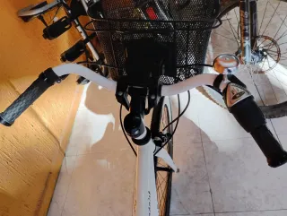 Bicicleta Paseo Edición Limitada