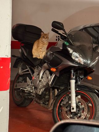 Yamaha FZ6 S1 70.013 km