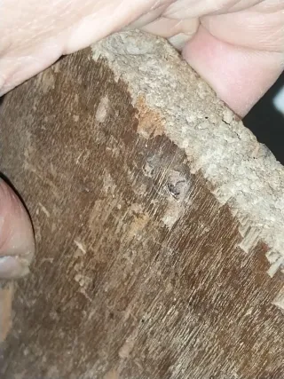 Pintura antigua barroca Cristo óleo