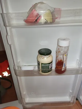 Frigorífico Zanussi pequeño Reservado para Alfredo