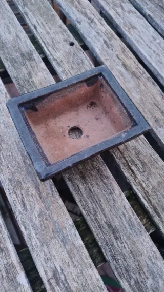 Maceta cerámica bonsai