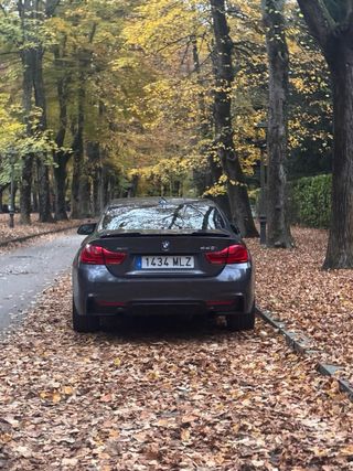 BMW Serie 440i XDrive 2019