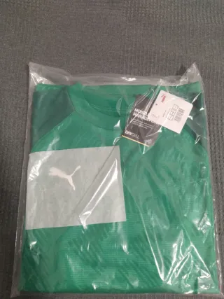 Sudadera Entrenamiento Puma Verde