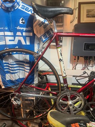 Bici Colnago Saronni Vintage