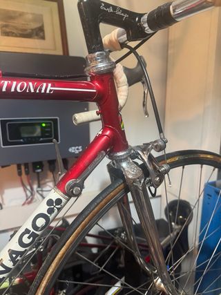 Bici Colnago Saronni Vintage