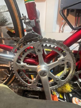 Bici Colnago Saronni Vintage