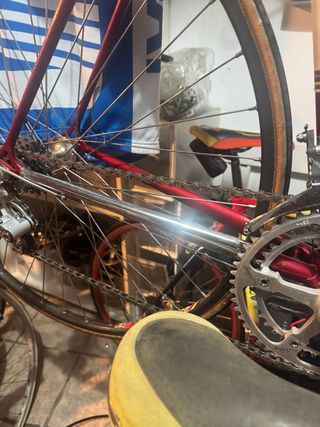 Bici Colnago Saronni Vintage