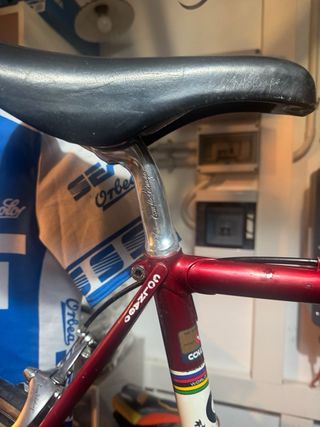 Bici Colnago Saronni Vintage