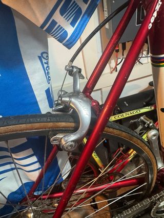 Bici Colnago Saronni Vintage