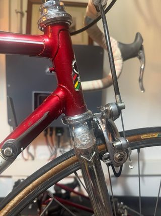 Bici Colnago Saronni Vintage