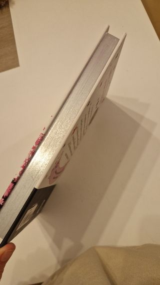 Isadora Moon y la boda mágica / Isadora Moon Goes to a Wedding (Spanish Edition)