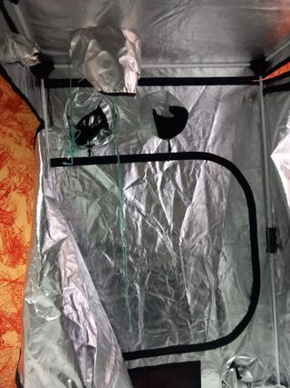 Armario/Invernadero Cultivo Interior