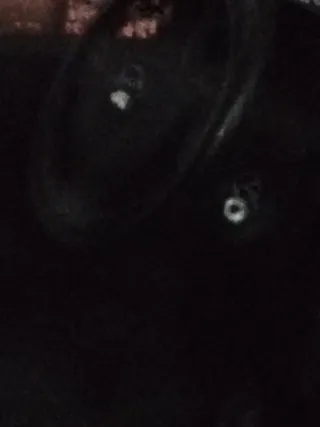 Despiece Ford Fiesta MK5 1.6 TDCI