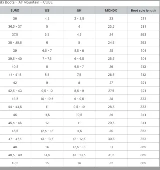 Botas de esquí Head Raptor 120 RS talla 40 41