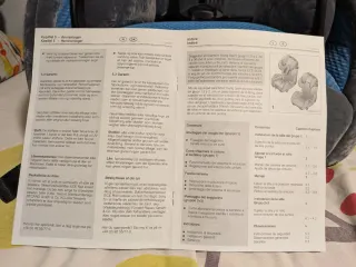 Silla Coche Recaro Young Sport