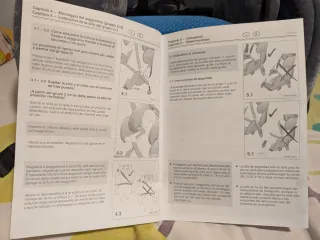 Silla Coche Recaro Young Sport