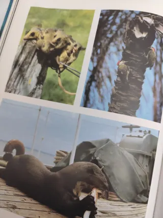 El viaje de Cousteau por el Amazonas