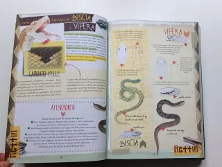 Fare, conoscere, creare l'avventura da manuale