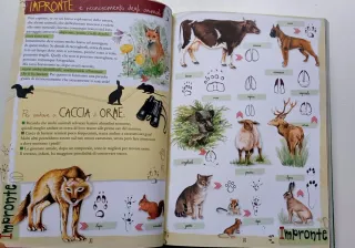 Fare, conoscere, creare l'avventura da manuale