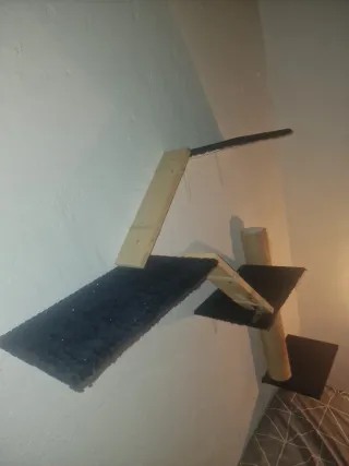 Circuito pared gatos