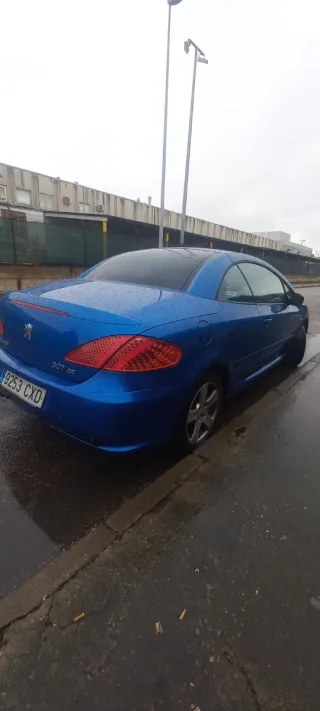 Peugeot 307 2004