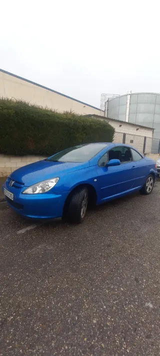 Peugeot 307 2004