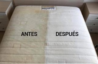 ️LIMPIEZA DE SOFÁS Y COLCHONES A DOMICILIO