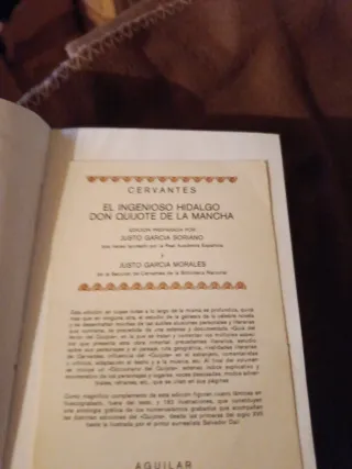 El ingenioso hidalgo Don Quijote de la Mancha (...