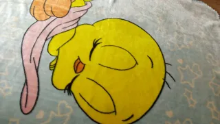 Manta suave para cuna o niños