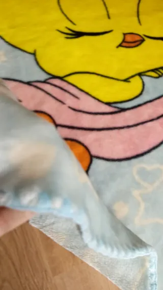 Manta suave para cuna o niños