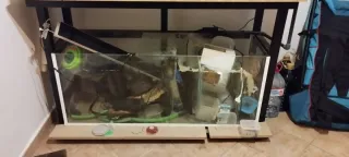 Acuario 385L + Mesa + Sump 250L