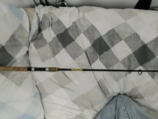 Caña de pescar St Croix Triumph Spinning