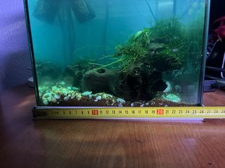 Acuario Nano Cube LED Blanco