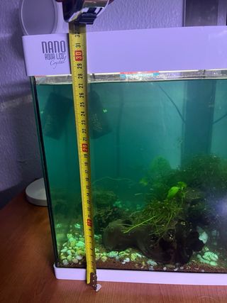 Acuario Nano Cube LED Blanco