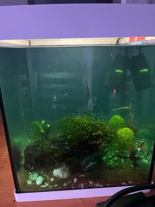 Acuario Nano Cube LED Blanco