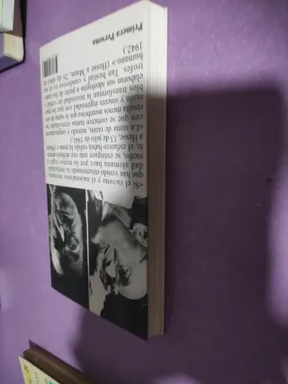 2 Libro Correspondencia Hermann Hesse y Thomas Man