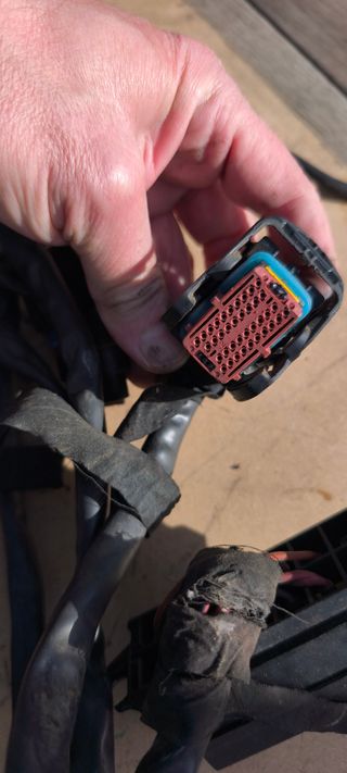 Instalación Eléctrica Ducati Monster 695